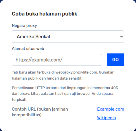 Actual Indonesian-language ProxyLite web proxy form, captured locally
